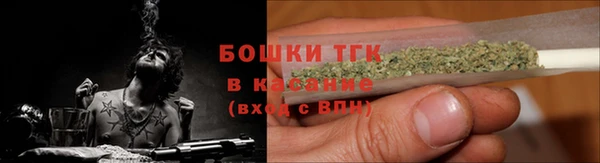 амф Осинники